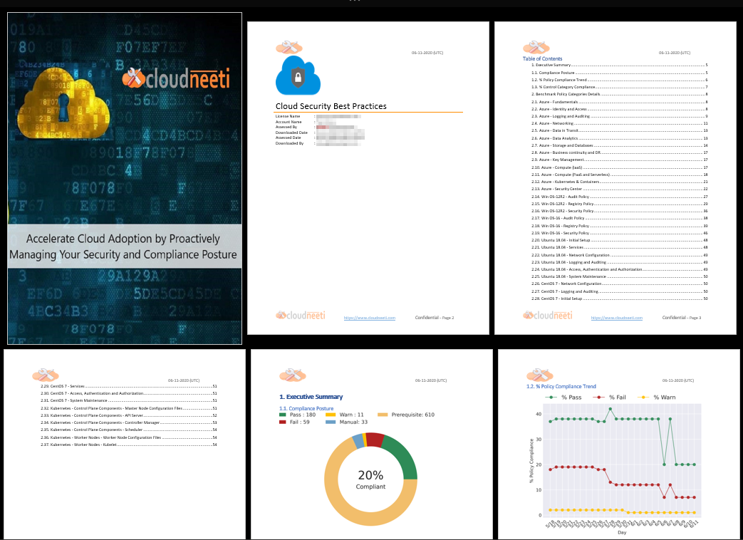 Word Summary Report